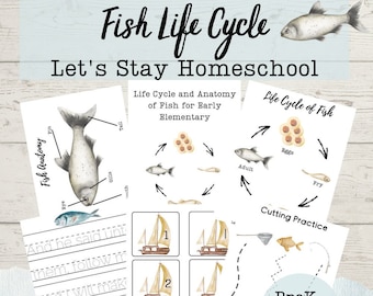 Fish Life Cycle Nature Study - Etsy