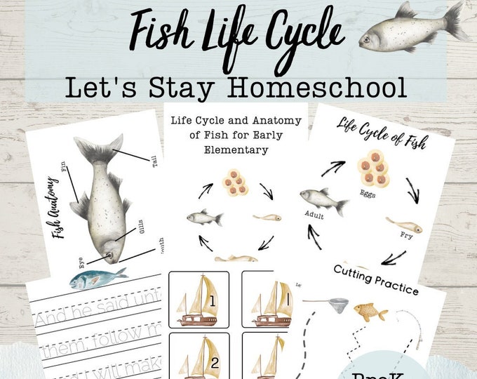Fish Life Cycle Nature Unit Study, Montessori 3 Part Cards, Life Cycle ...