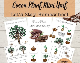 Cocoa Life Cycle & Anatomy Mini Unit Study (Digital Download)