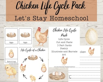 Chicken Life Cycle Montessori Learning Pack (Digital Download)