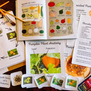 Pumpkin Mini Unity Study | Kids Baking Unit | Homeschool Unit Study