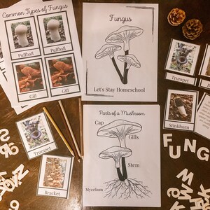 Fungus Mini Unit | Fungus Unit Study | Fungi Unit Study | Nature Study | Fungus Nature Study