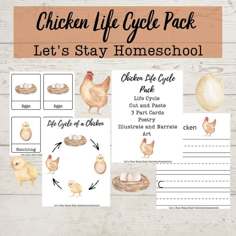 chicken-life-cycle-mini-unit-chicken-life-cycle-bundle-chicken-life-cycle-lesson-montessori-chicken-life-cycle-etsy