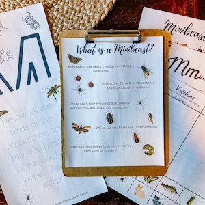 Minibeast Mini Unit Study| Minibeast Unit Study | Minibeast Homeschool Unit