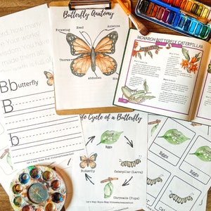 Butterfly Life Cycle Mini Unit | Butterfly Mini Unit | Butterfly Unit Study