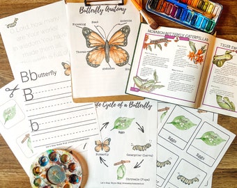 Schmetterling Lebenszyklus Mini Modul: Hauptschule Studie (Digitaler Download)