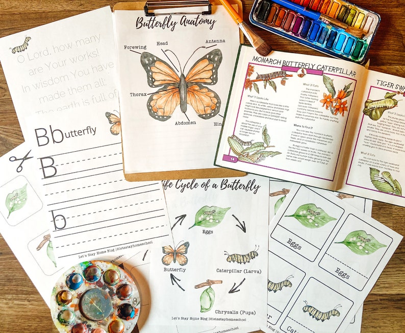 May include: A printable worksheet for kids to learn about butterflies. The worksheet includes a butterfly anatomy diagram, a life cycle of a butterfly diagram, and a page for practicing writing the letter 'B'. The worksheet is printed on white paper and has a watercolor painting of a butterfly on it.