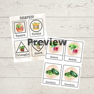 May include: Educational flashcards featuring shapes and vegetables. The top card displays shapes: square, circle, triangle, and heart, each with a corresponding illustration of a basket of vegetables. The bottom card shows radishes and zucchini.
