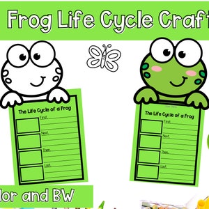May include: Black and white and green frog life cycle craft activity with a frog holding a sign that says "The Life Cycle of a Frog" with spaces to write in the stages of the life cycle.  The craft includes a butterfly and lily pads.