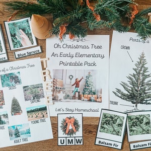 Eenheidsstudie kerstboom: afdrukbaar thuisonderwijspakket (digitale download)