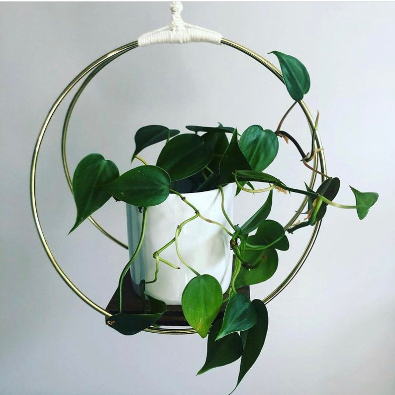 GOLD HOOP Plant Hanger Metal Rings on a Wood Base With Natural Etsy