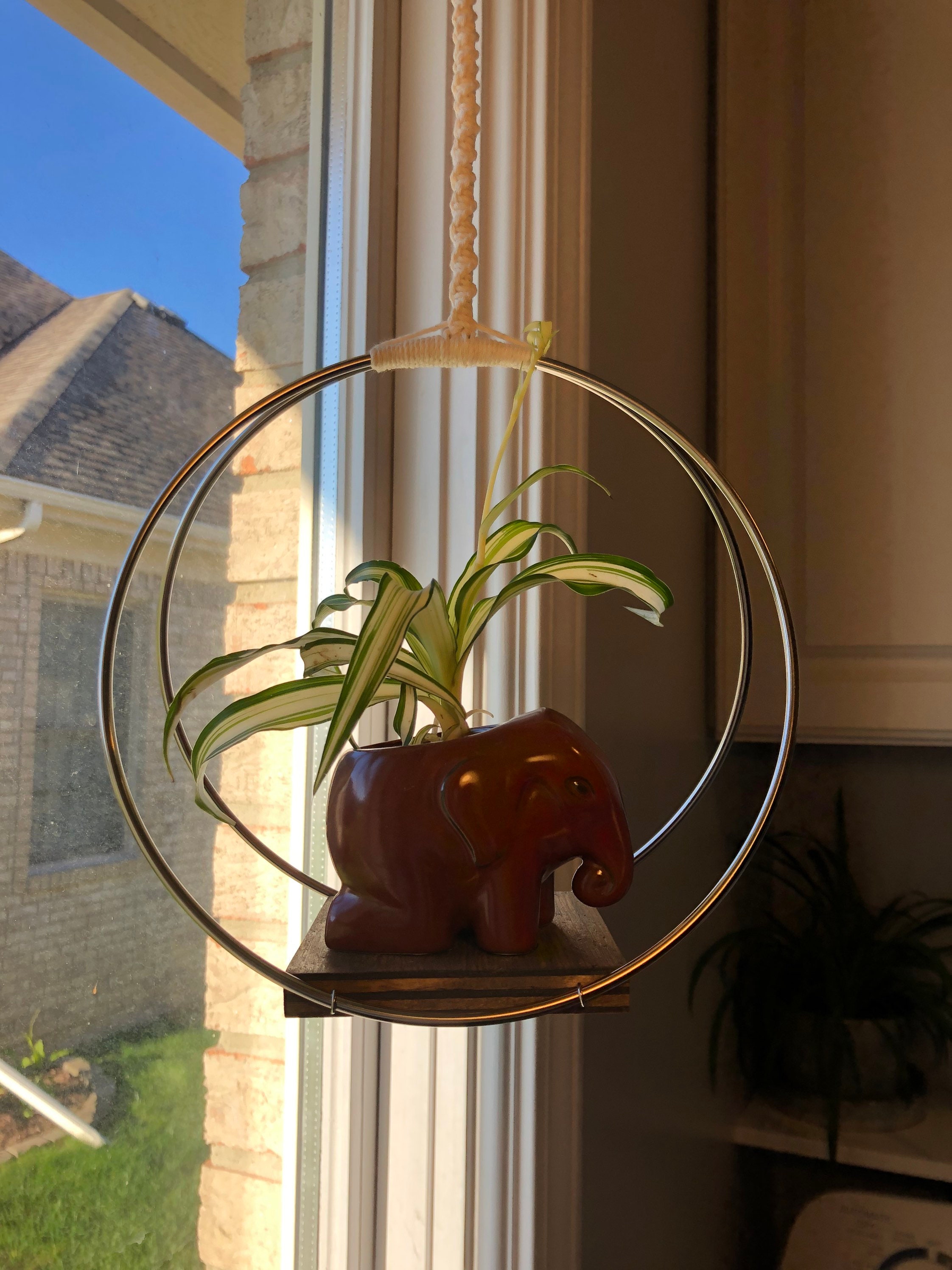 SILVER HOOP Plant Hanger metal rings on a wood base with Etsy