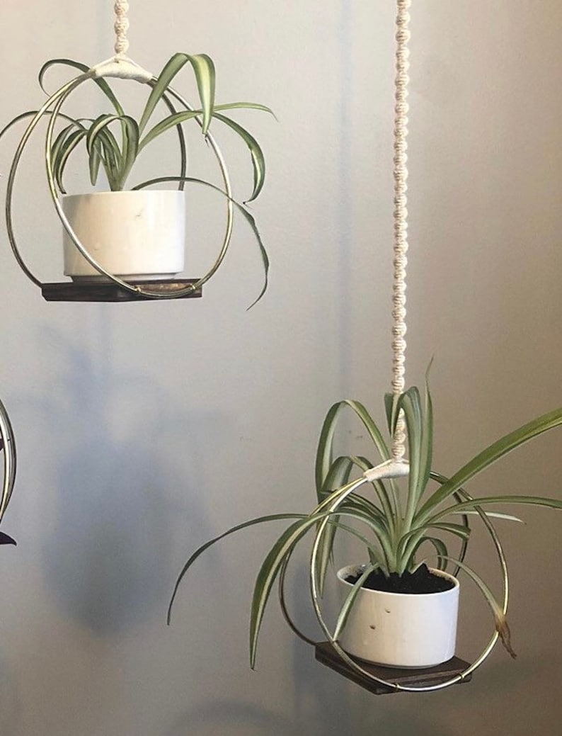 SILVER HOOP Plant Hanger Metal Rings on a Wood Base With Etsy