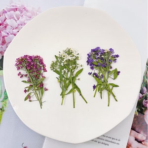 May include: Three sprigs of dried flowers on a white plate. The flowers are white, purple, and pink.