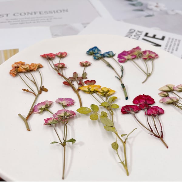 Dried Flowers Resin Etsy