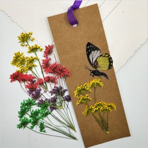 Pressed Dried Queen Anne's Lace Flower With Stems for Floral Art Craft Resin Cast, Jewelry DIY