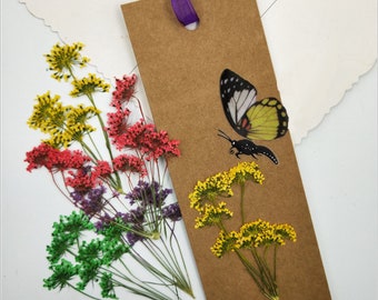 Pressed Dried Queen Anne's Lace Flower With Stems for Floral Art Craft Resin Cast, Jewelry DIY
