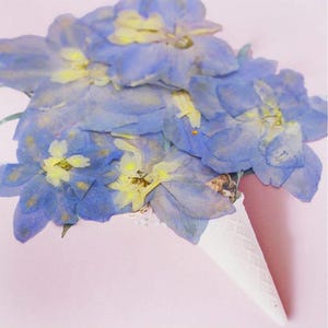 May include: A bouquet of blue and yellow dried flowers arranged in a white waffle cone.