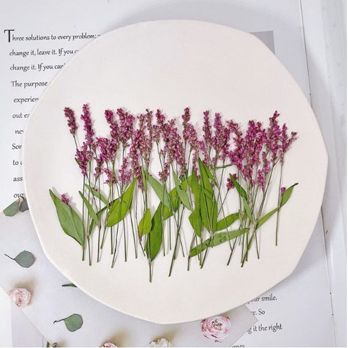 Pressed Dried Hydrangea Flowers for Floral Art Craft Resin Etsy