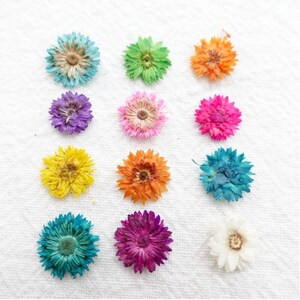 May include: Assortment of dried flowers in various colors, including blue, green, purple, pink, yellow, orange, and white. The flowers are arranged in a circular pattern on a white surface.