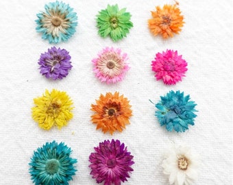May include: Assortment of dried flowers in various colors, including blue, green, purple, pink, yellow, orange, and white. The flowers are arranged in a circular pattern on a white surface.