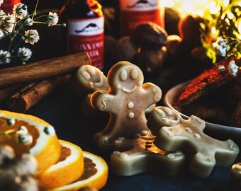 Frosted Gingerbread Wax Melts * Christmas * Aromatherapy * Essential Oils * Wax Melts * Wax Warmer * Seascape Esthetics