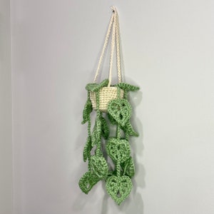 May include: A crocheted hanging plant with green leaves and a white pot. The plant is hanging from a white string.