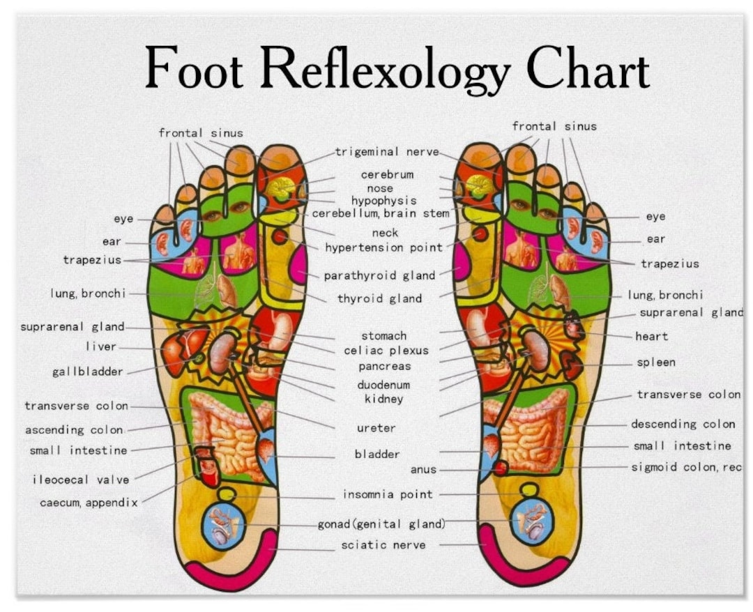 Foot Reflexology Chart Poster Retro Wall Art Home Decor Etsy