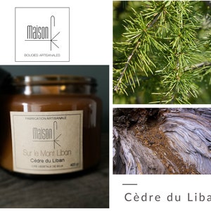 Cedar of Lebanon scented handmade candle with natural soy wax