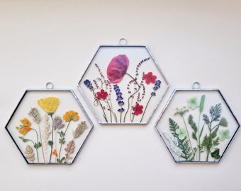 Hexagon Gepresste Blume Rahmenset Regenbogen umrahmte Blumen Herbarium Wandkunst Glasmalerei Rahmen schwebend