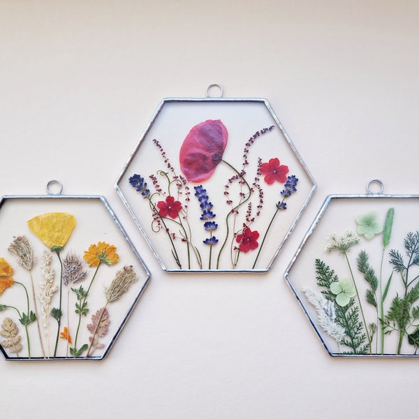 Hexagon Pressed flower frame set Rainbow framed flowers Herbarium wall art Stained glass floating frames