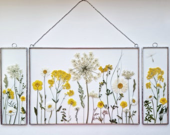 Pressed flower frame set Meadow grasses Stained glass panels Real flower wall art