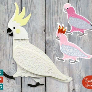 Cockatoo SVG | Layered 3D Cockatoo Bird Cutting File