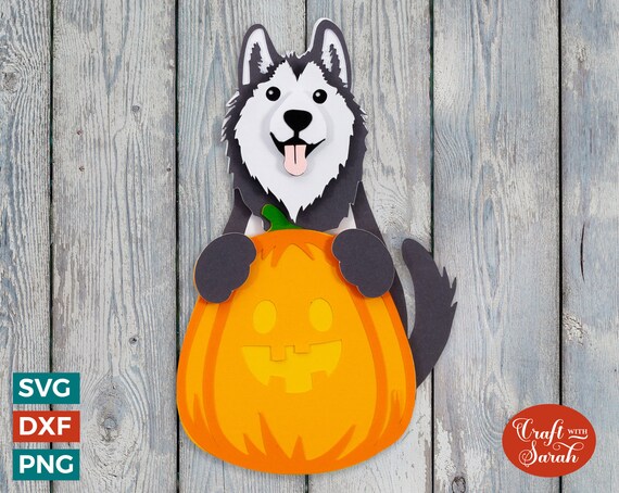 Alaskan Malamute Pumpkin SVG Husky Pumpkin for Halloween - Etsy