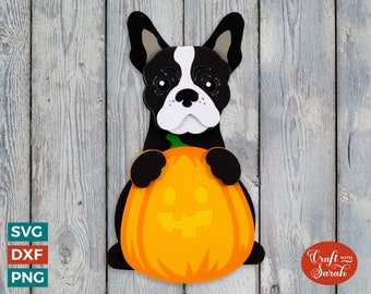 Zucca Bulldog Francese SVG / Zucca Bulldog Francese per Halloween