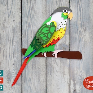 Grüner Wangensittich Vogel SVG | Vintage Grünwangensittich Plotterdatei