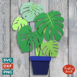 Archivo SVG de corte de Monstera suiza en capas / Planta de queso