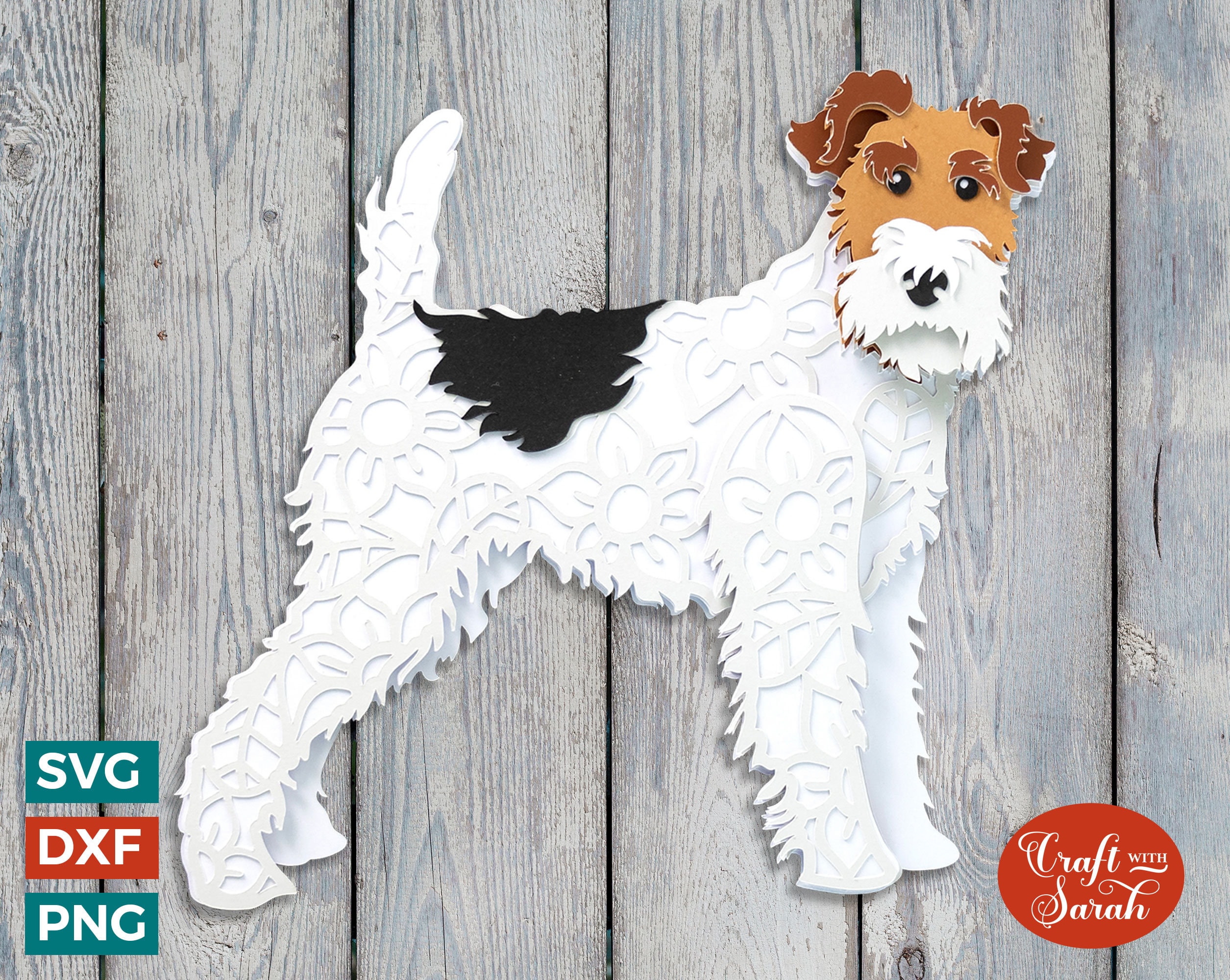 Wire Haired Fox Fire Fox Terrier Wire Haired Smooth Fox Terrier