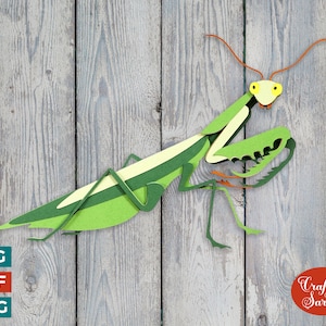 Praying Mantis SVG | Layered Insect Cutting File