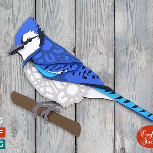 Blue Jay Bird SVG | Layered Blue Jay Bird Cutting File