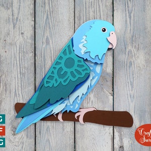 Perroquet pie SVG | Lime à découper pour perroquets pie