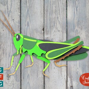 Puede incluir: Un recorte de papel de un saltamontes, verde y marrón, sobre un fondo de madera. El saltamontes está en posición de perfil con las alas extendidas. El texto "Craft with Sarah" está en un círculo rojo en la esquina inferior derecha de la imagen.