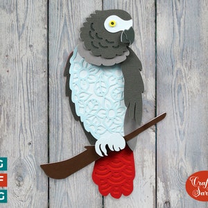 Pappagallo cenerino africano SVG / File di taglio di pappagallo 3D a strati