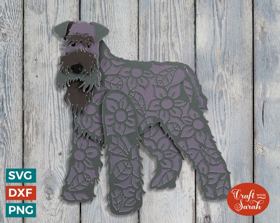 Kerry blue on sale terrier schnauzer