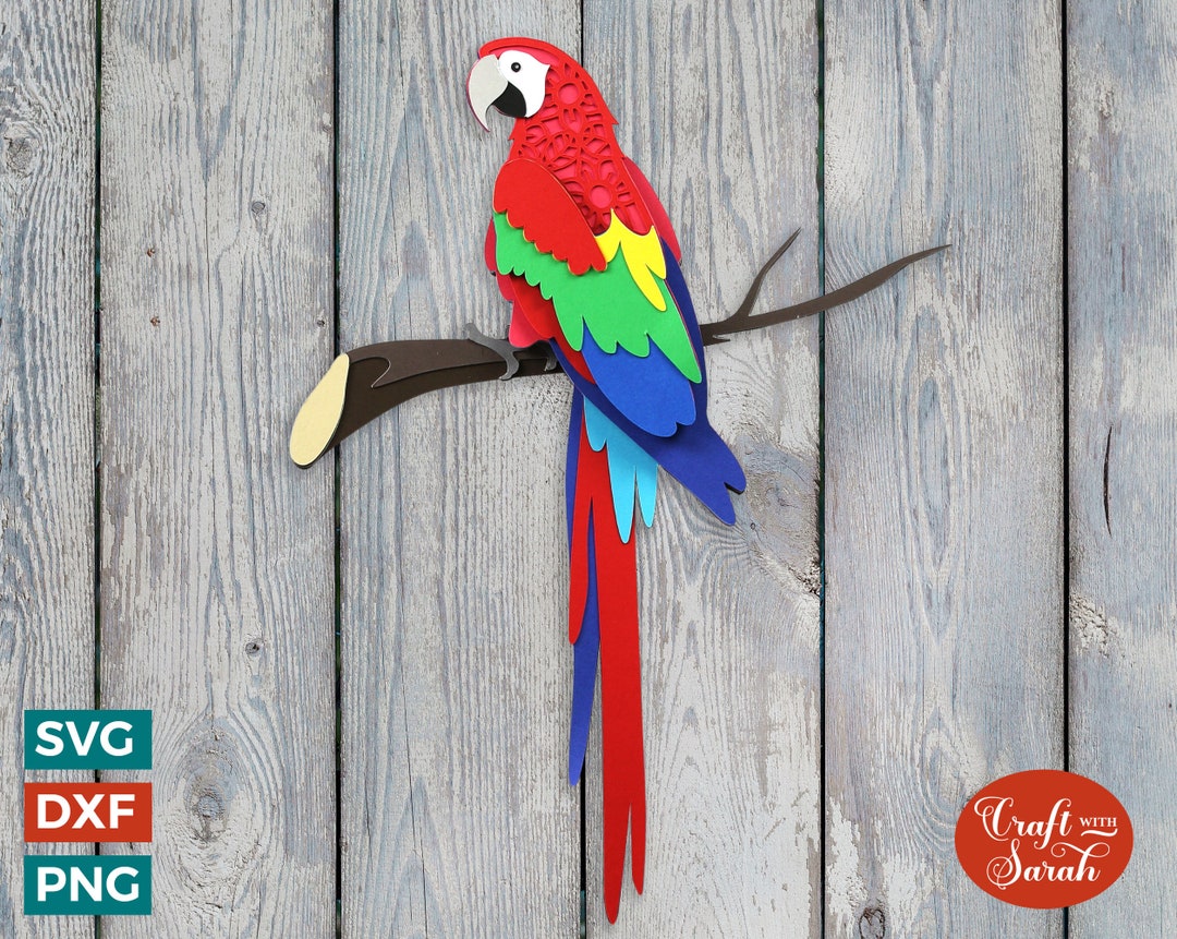 Autocollant Voiture 3D Eclectus Roratus (perroquet) - 45,7 Cm - Vinyle Résistant Aux Intempéries - 10