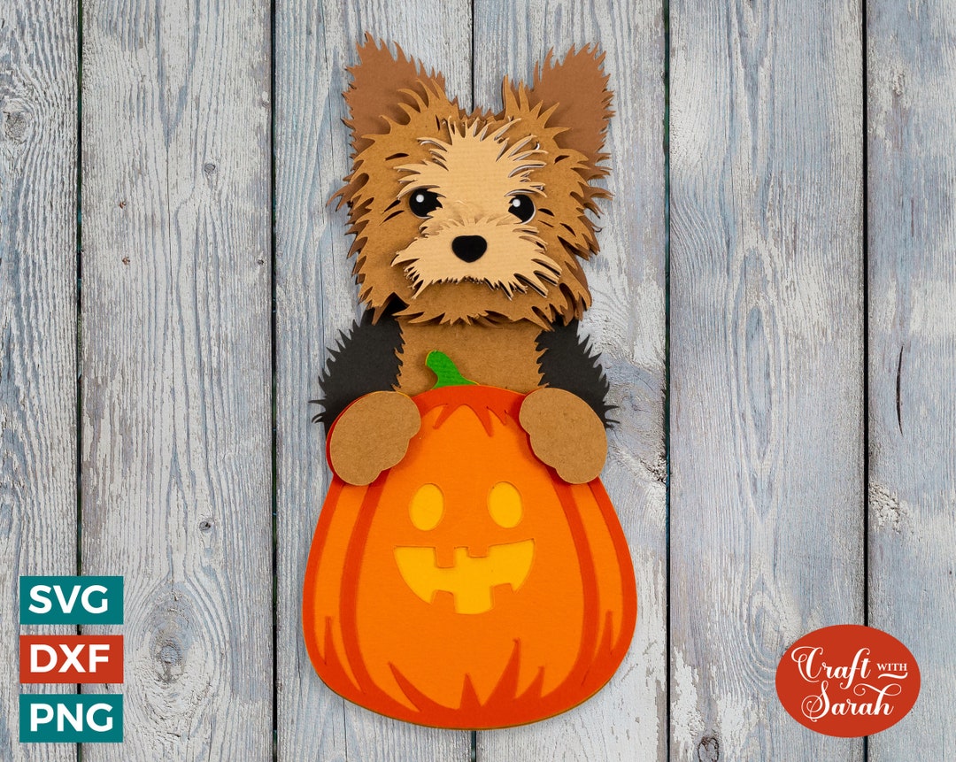 Yorkie Pumpkin SVG Yorkshire Terrier Pumpkin For Halloween Etsy yorkie-pumpkin-svg-yorkshire-terrier-pumpkin-for-halloween-etsy