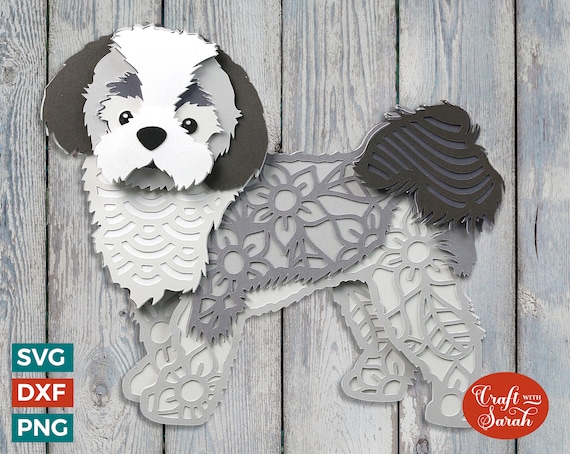 Pekingese x poodle 2025