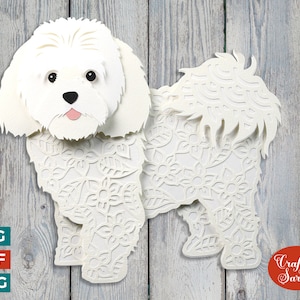 Coton de Tuléar SVG | Lime à découper en coton de tuléar