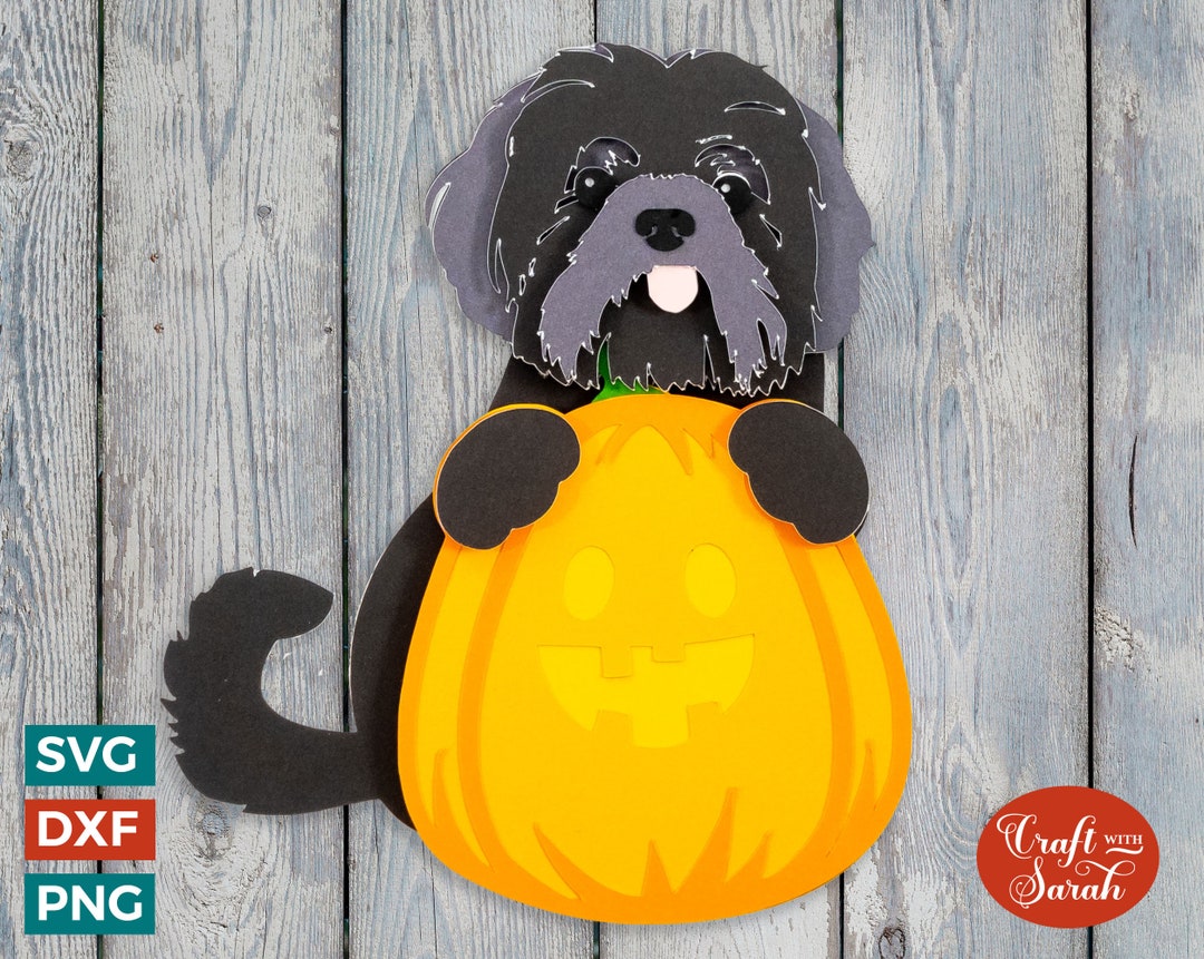 Shih Tzu Pumpkin SVG Lhasa Apso Pumpkin For Halloween Etsy shih-tzu-pumpkin-svg-lhasa-apso-pumpkin-for-halloween-etsy