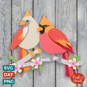 Cardinal paire SVG |  Lime à découper Cardinal mâle et femelle sur branche en fleurs